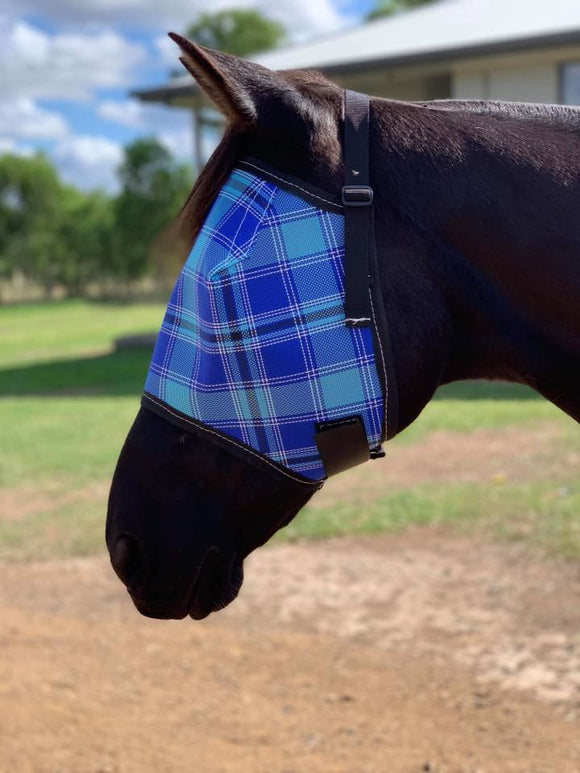 Horse Accessories